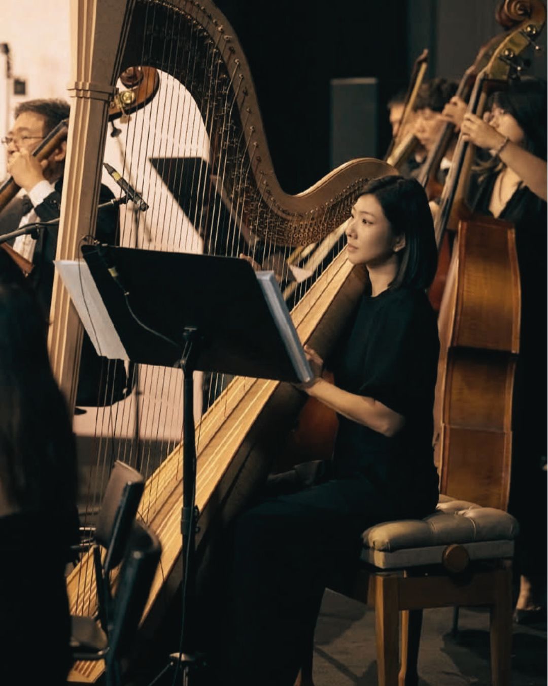 Nữ nghệ sĩ harp biểu diễn cùng cello trong dàn hòa tấu bán cổ điển.